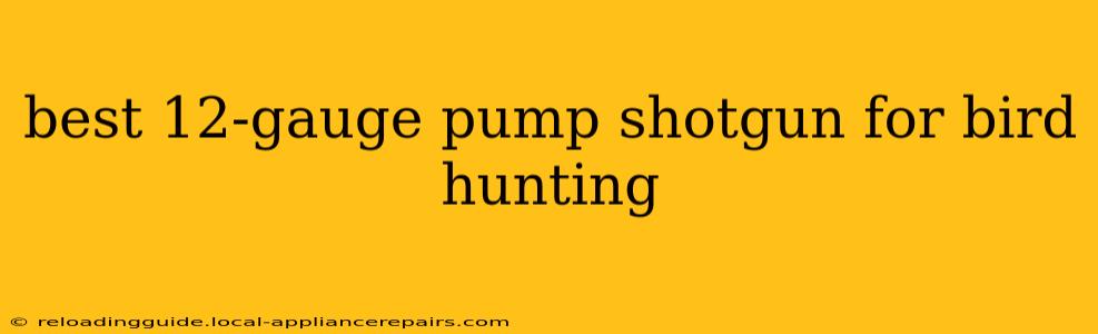 best 12-gauge pump shotgun for bird hunting