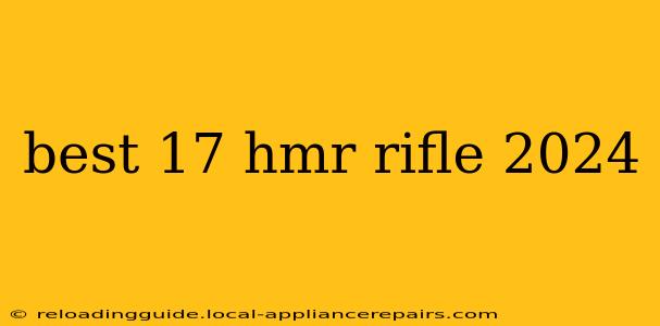 best 17 hmr rifle 2024