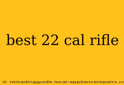 best 22 cal rifle