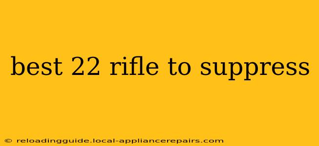 best 22 rifle to suppress