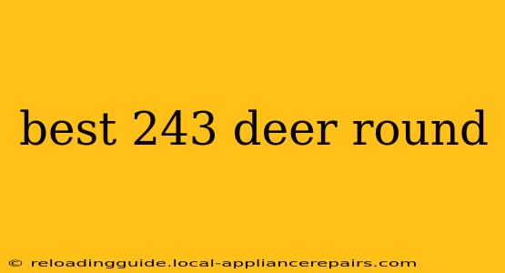 best 243 deer round