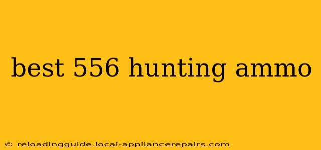 best 556 hunting ammo