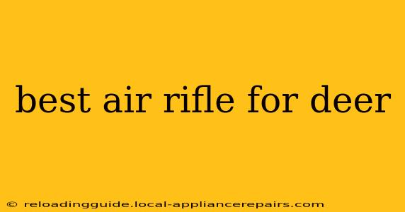 best air rifle for deer