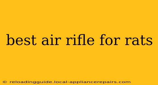 best air rifle for rats