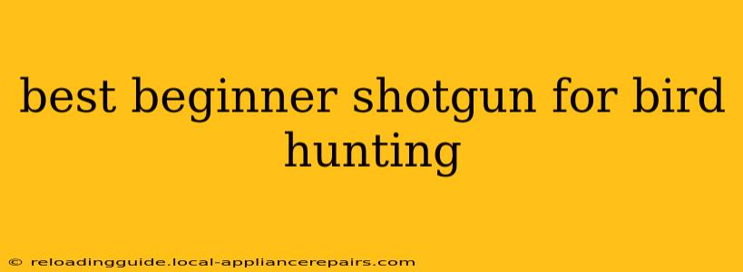 best beginner shotgun for bird hunting