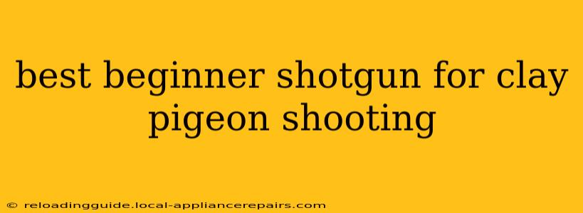 best beginner shotgun for clay pigeon shooting