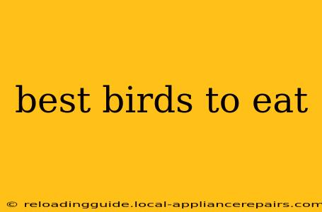 best birds to eat