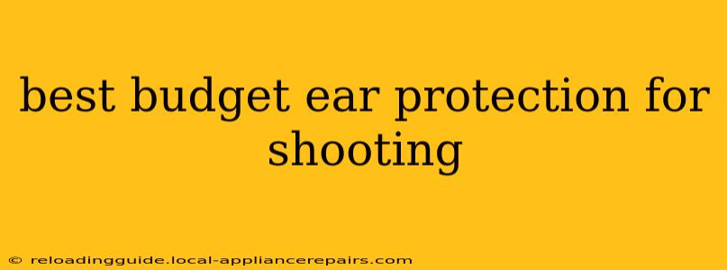 best budget ear protection for shooting