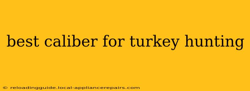 best caliber for turkey hunting