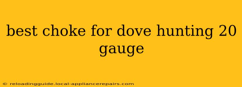 best choke for dove hunting 20 gauge