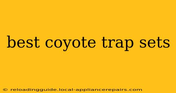 best coyote trap sets