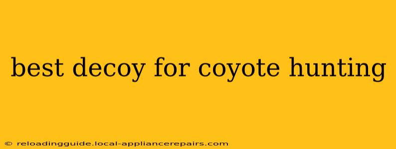 best decoy for coyote hunting