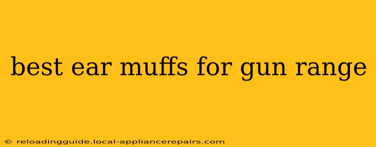 best ear muffs for gun range