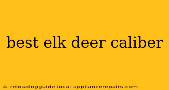 best elk deer caliber