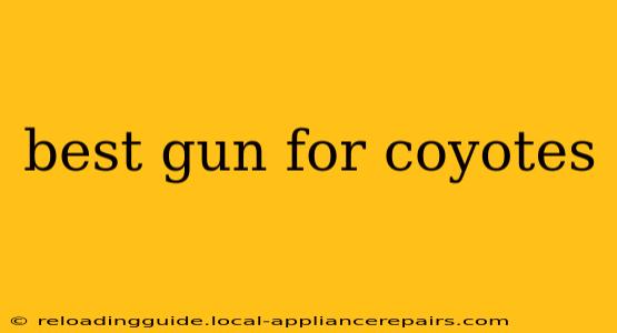 best gun for coyotes