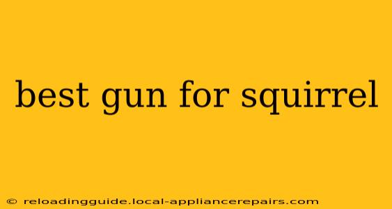 best gun for squirrel