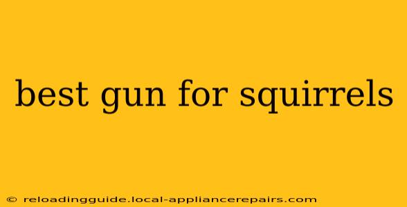 best gun for squirrels