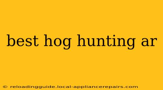 best hog hunting ar