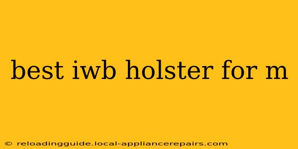 best iwb holster for m