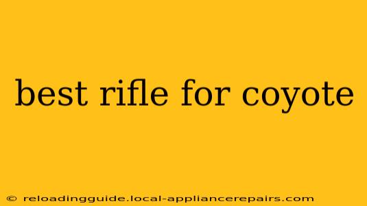 best rifle for coyote