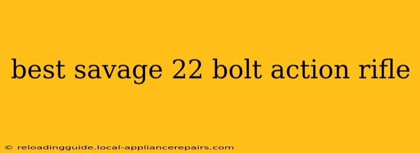 best savage 22 bolt action rifle