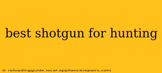 best shotgun for hunting