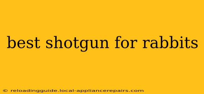 best shotgun for rabbits