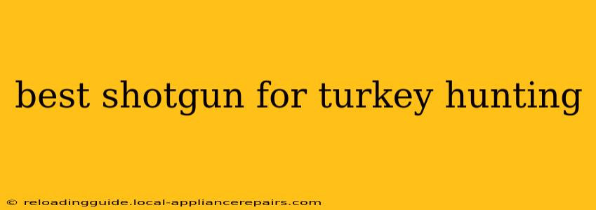 best shotgun for turkey hunting