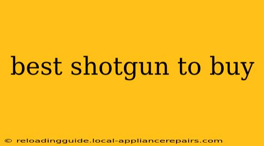 best shotgun to buy