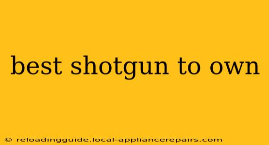 best shotgun to own