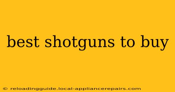 best shotguns to buy