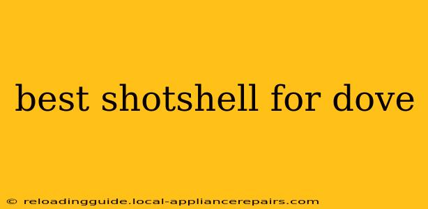 best shotshell for dove