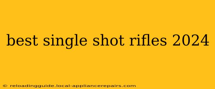 best single shot rifles 2024