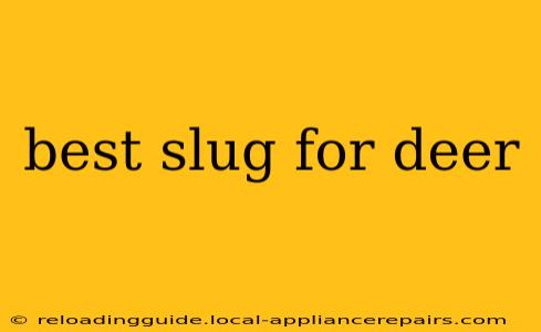 best slug for deer