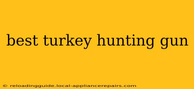 best turkey hunting gun