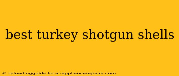 best turkey shotgun shells