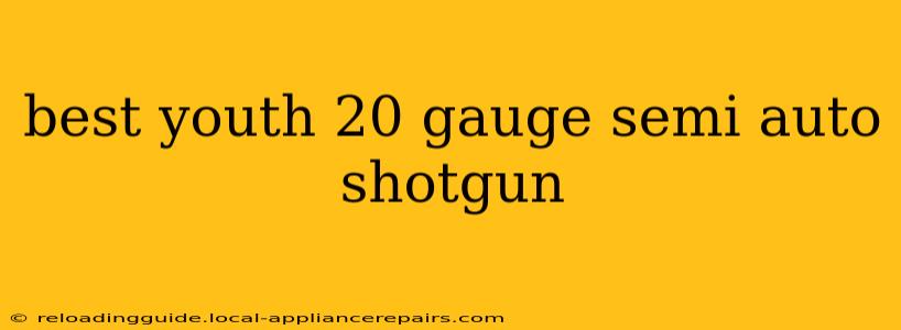 best youth 20 gauge semi auto shotgun