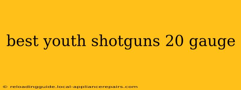 best youth shotguns 20 gauge