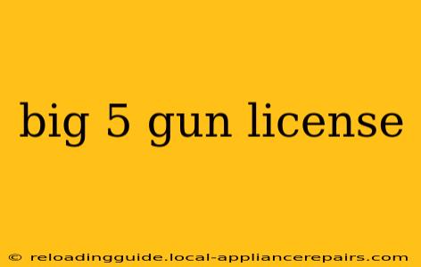 big 5 gun license