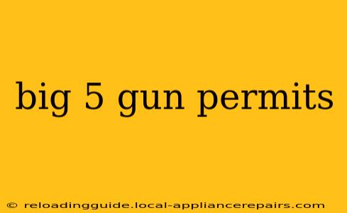 big 5 gun permits