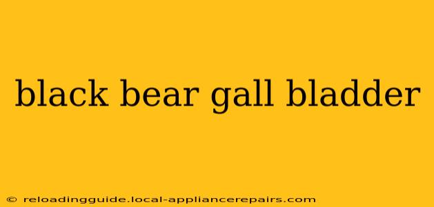 black bear gall bladder