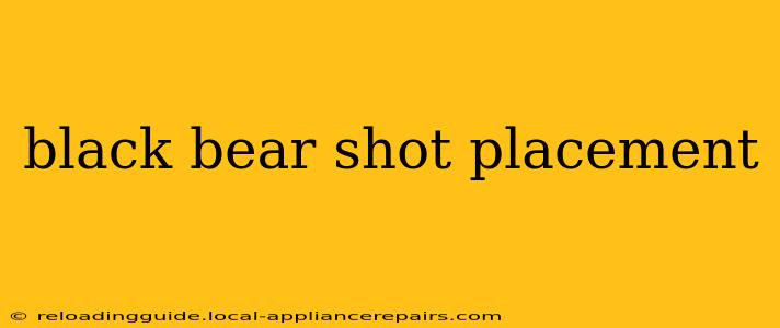 black bear shot placement