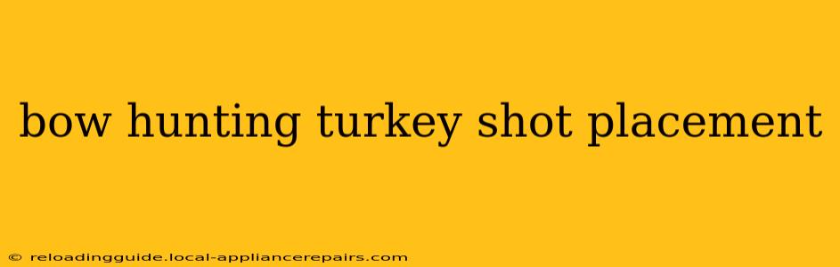 bow hunting turkey shot placement