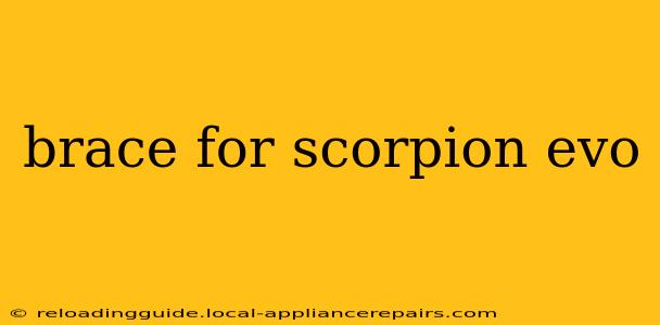 brace for scorpion evo