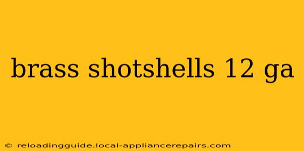 brass shotshells 12 ga