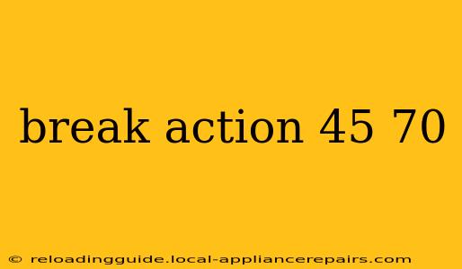 break action 45 70