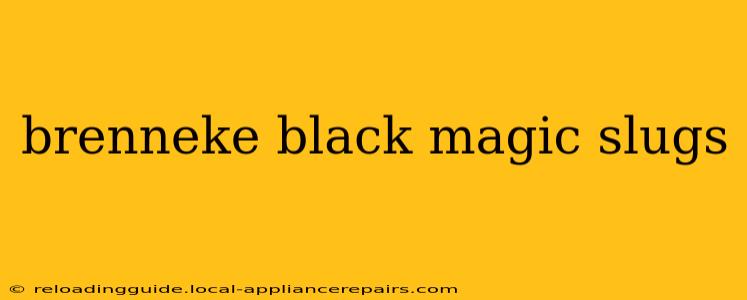 brenneke black magic slugs