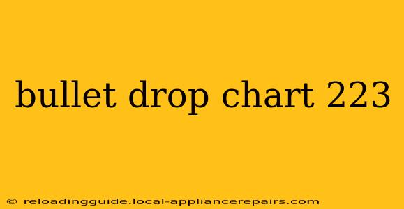 bullet drop chart 223