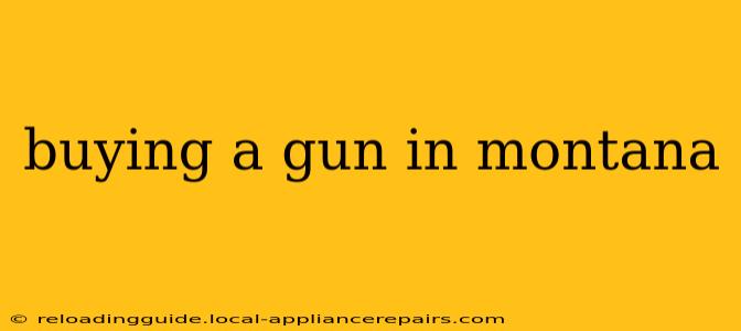 buying a gun in montana