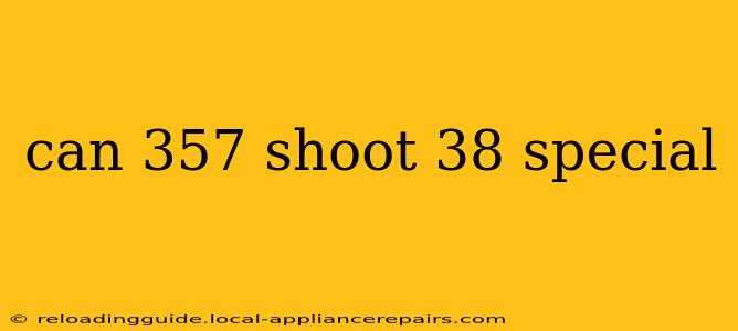 can 357 shoot 38 special